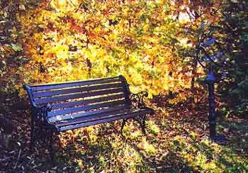 garden in Janemount
